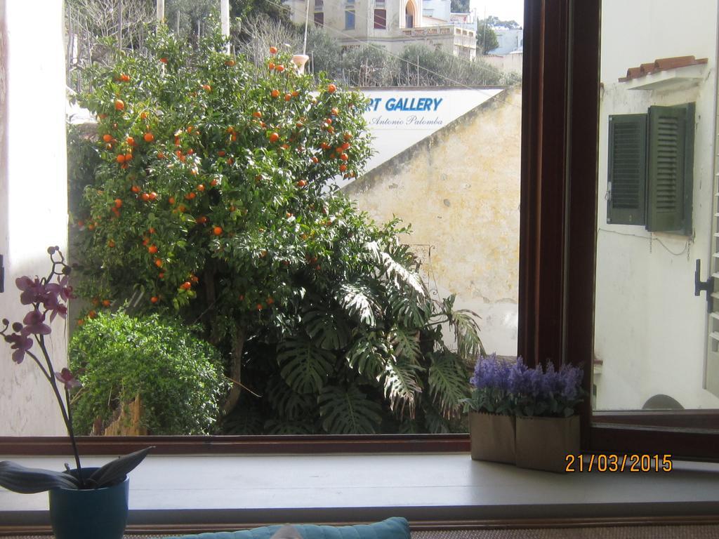 Villa Apollo B&B Capri Zimmer foto